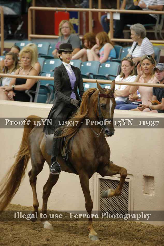 Proof 15YN_11937