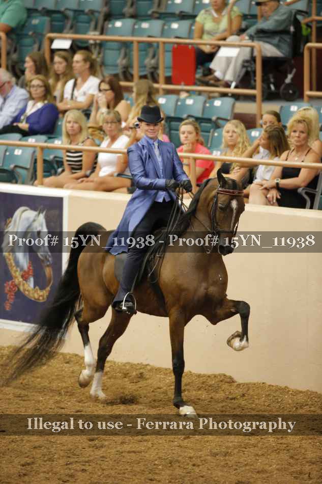 Proof 15YN_11938