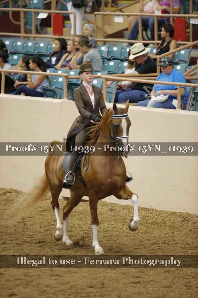 Proof 15YN_11939