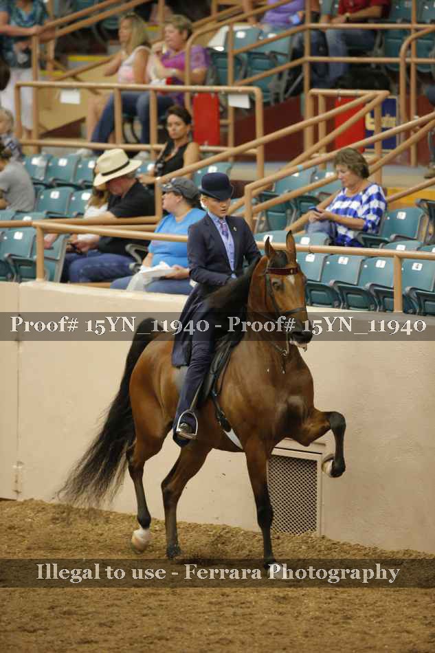 Proof 15YN_11940