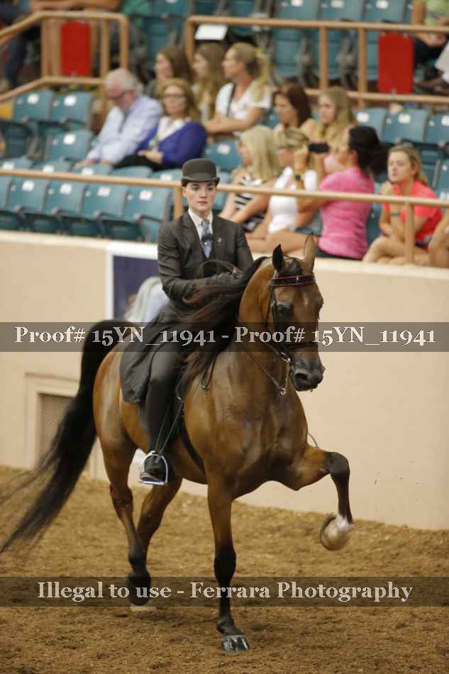 Proof 15YN_11941