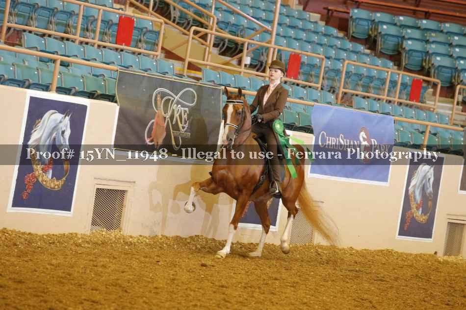 Proof 15YN_11948