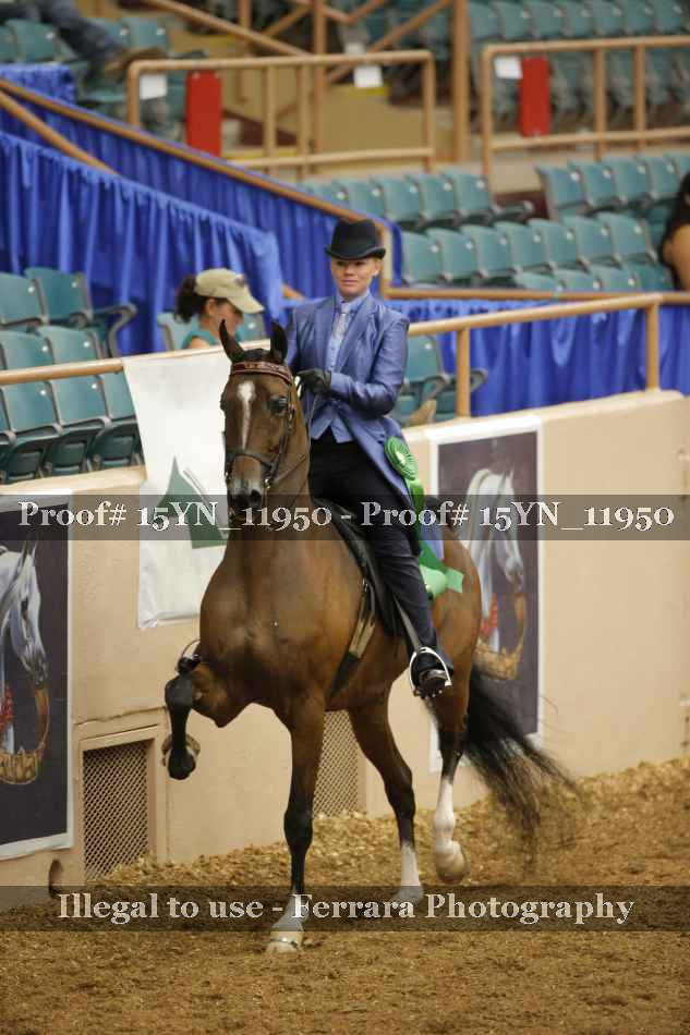 Proof 15YN_11950
