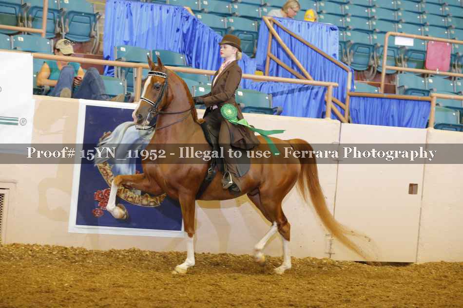 Proof 15YN_11952