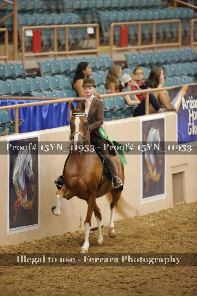 Proof 15YN_11953