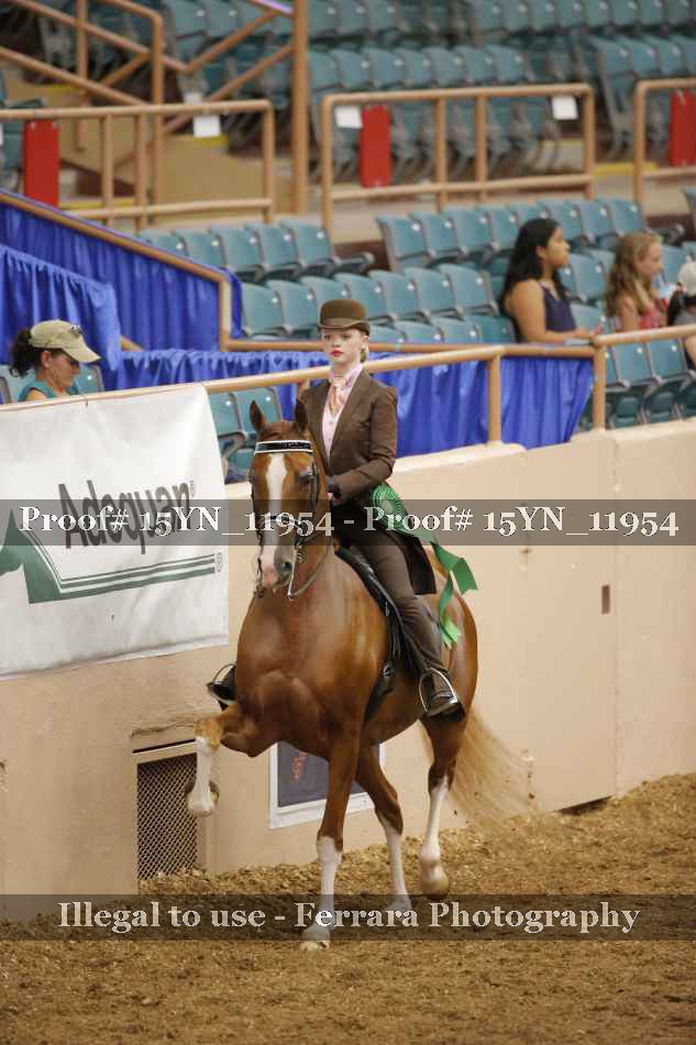 Proof 15YN_11954