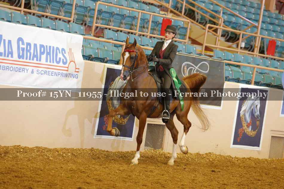Proof 15YN_11955
