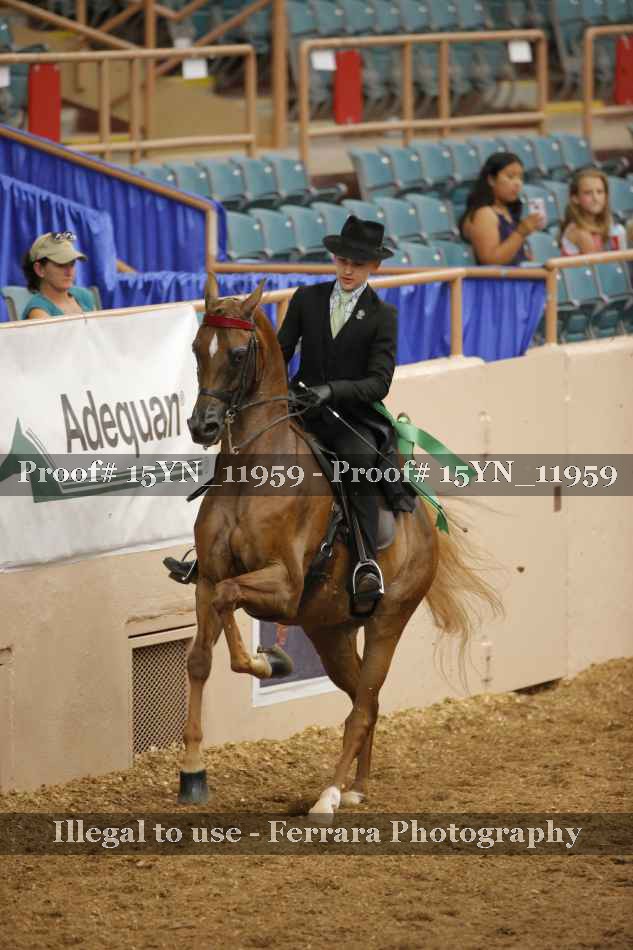 Proof 15YN_11959