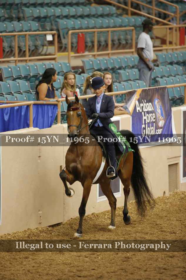 Proof 15YN_11965