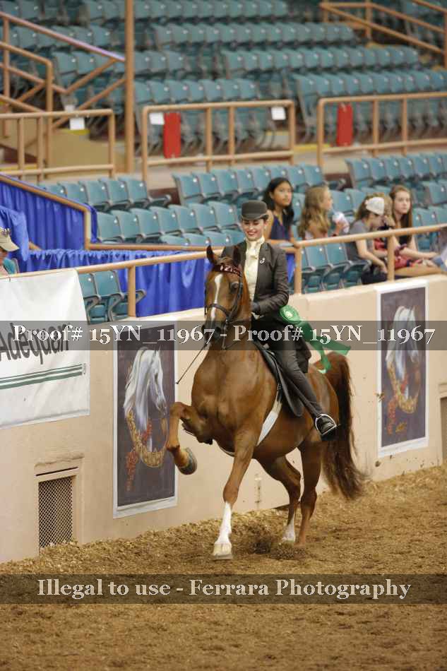 Proof 15YN_11967