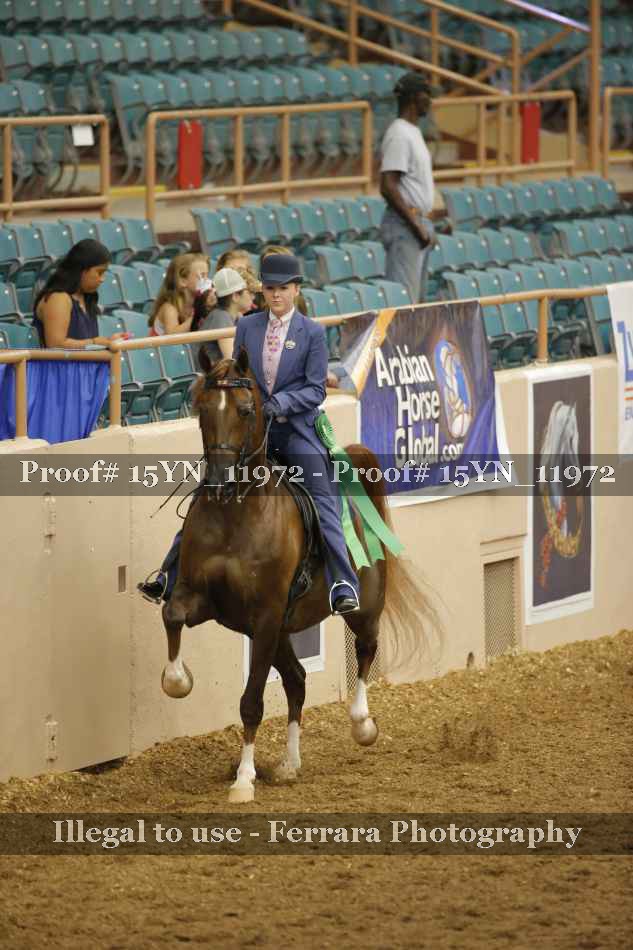 Proof 15YN_11972