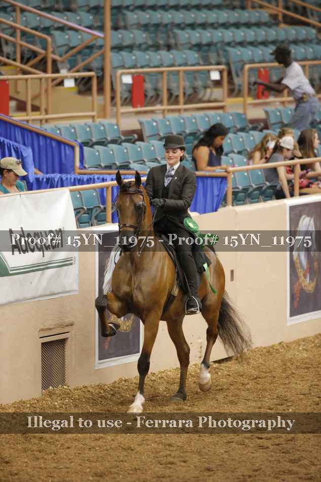 Proof 15YN_11975