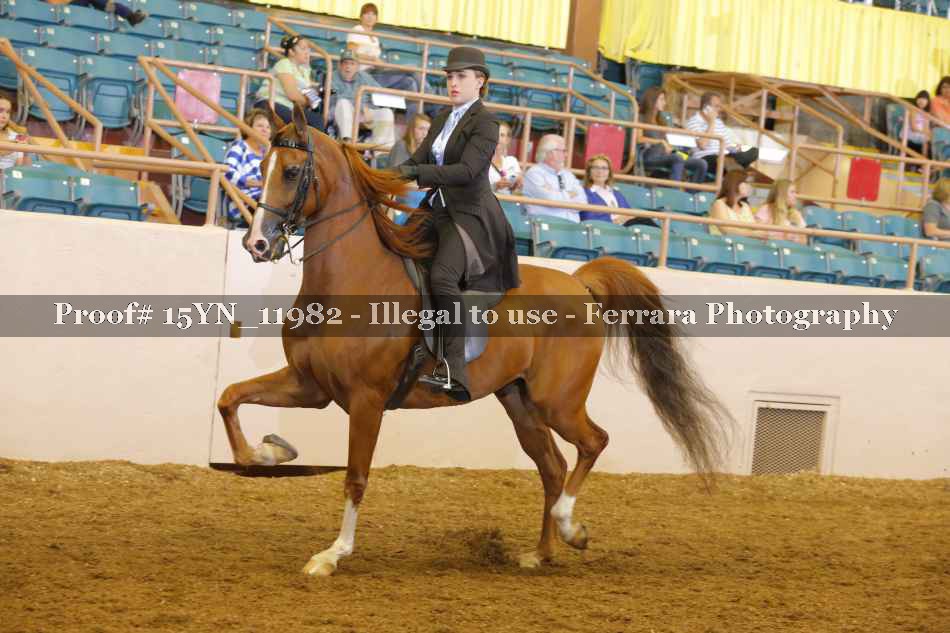 Proof 15YN_11982