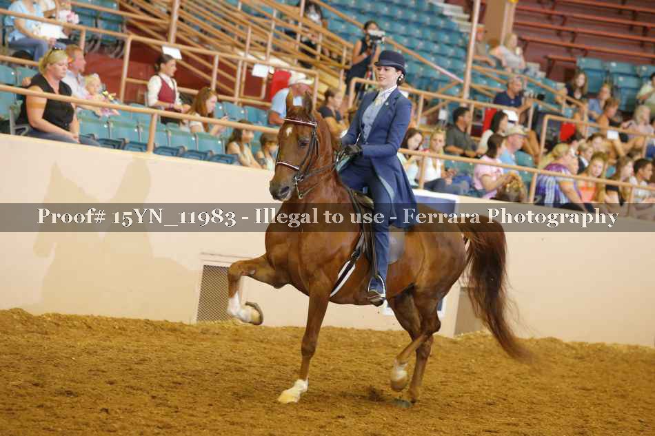 Proof 15YN_11983