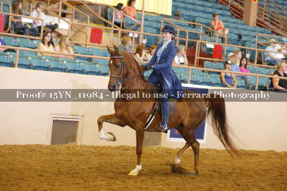 Proof 15YN_11984