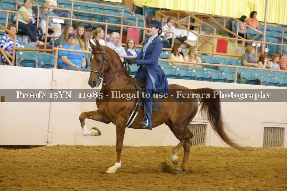 Proof 15YN_11985
