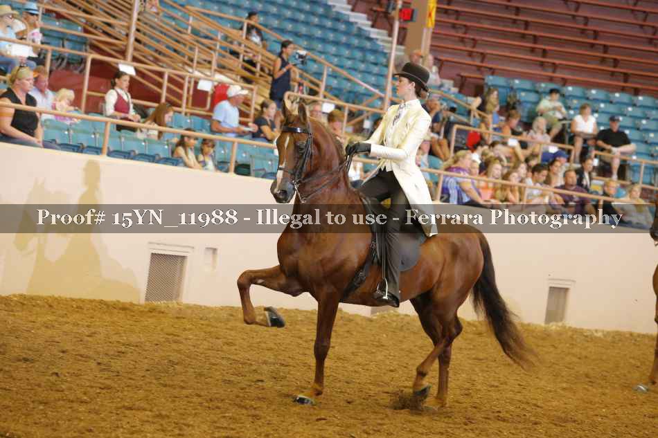 Proof 15YN_11988