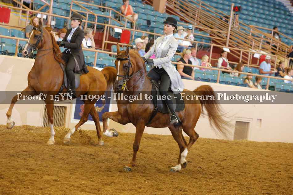 Proof 15YN_11992