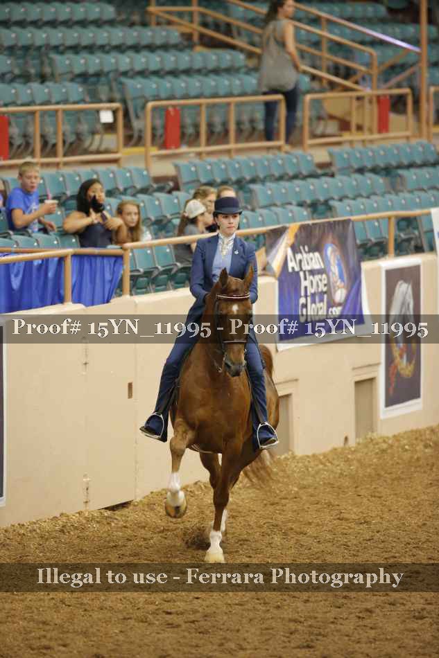 Proof 15YN_11995