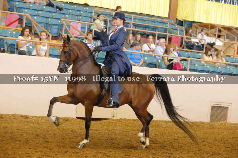 Proof 15YN_11998