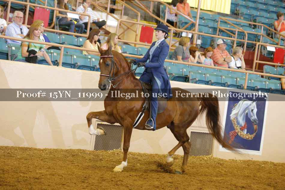 Proof 15YN_11999