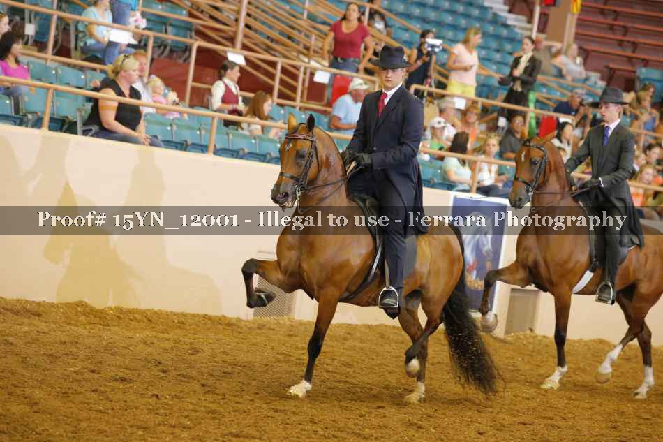 Proof 15YN_12001