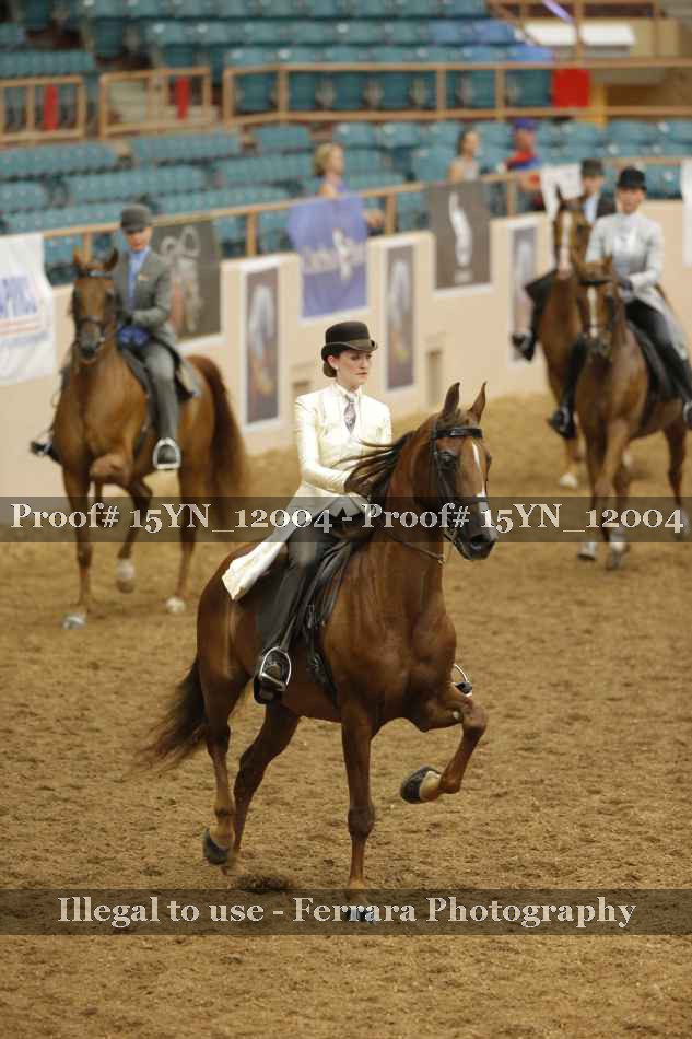 Proof 15YN_12004
