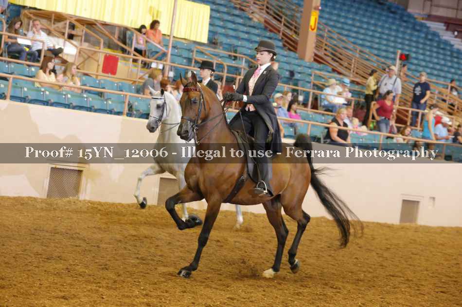 Proof 15YN_12006