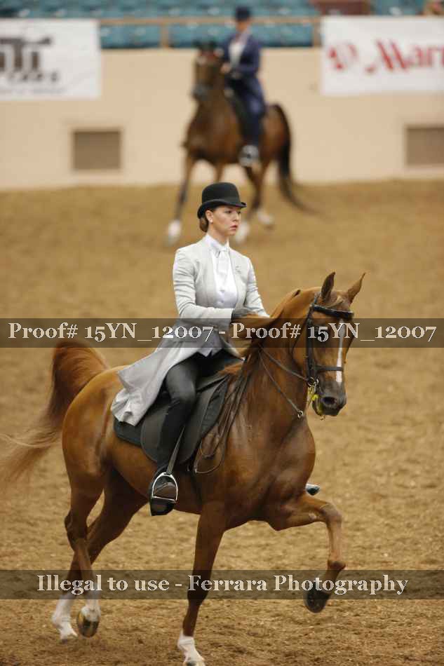 Proof 15YN_12007