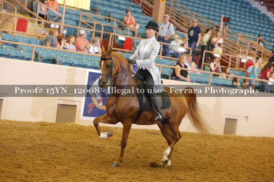 Proof 15YN_12008