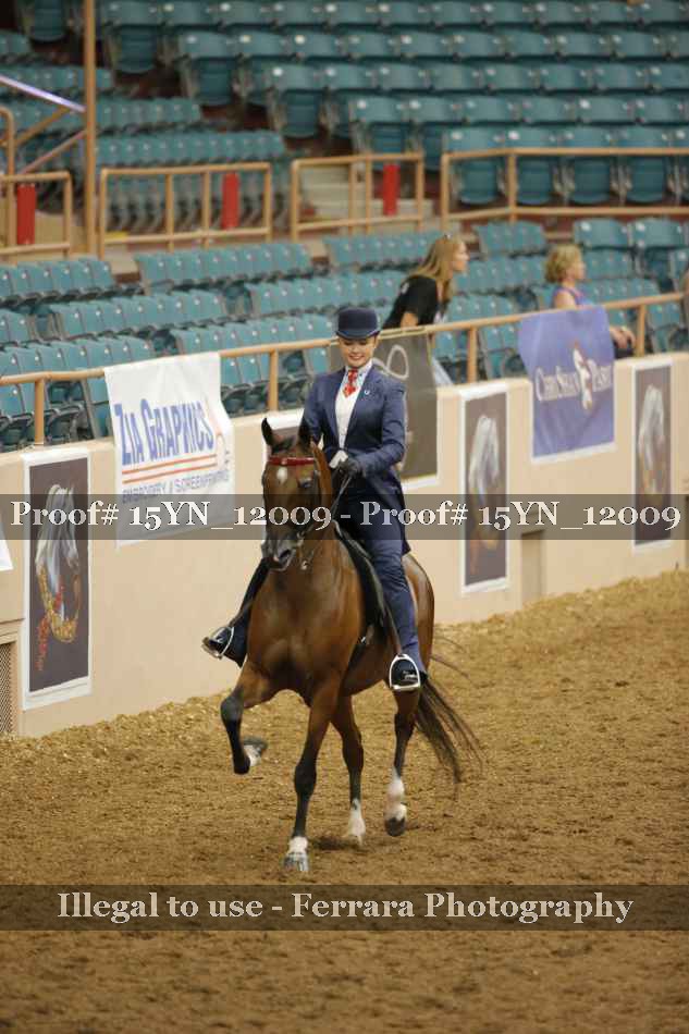 Proof 15YN_12009