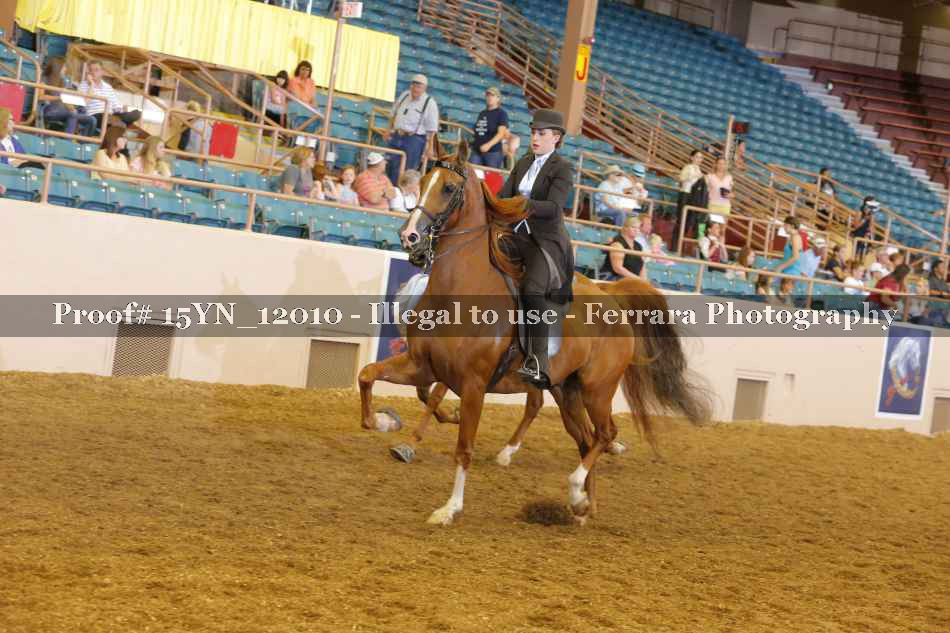 Proof 15YN_12010