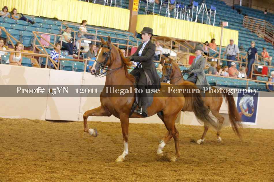 Proof 15YN_12011