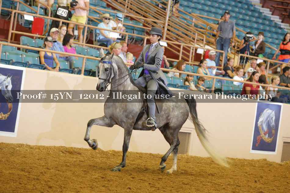 Proof 15YN_12012