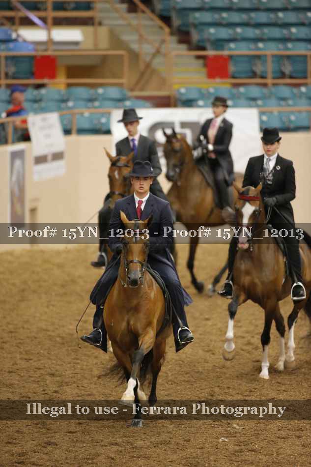Proof 15YN_12013