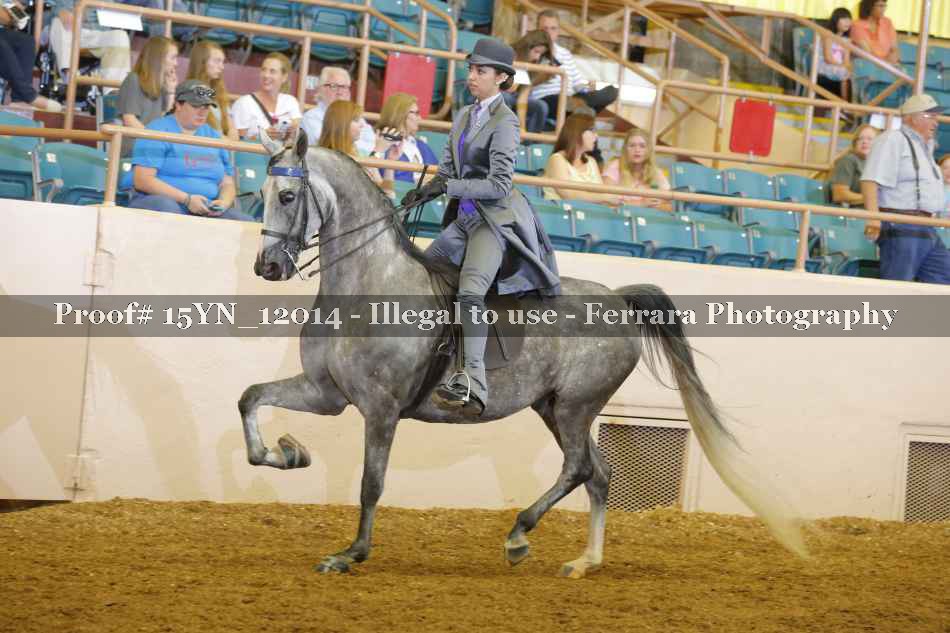 Proof 15YN_12014