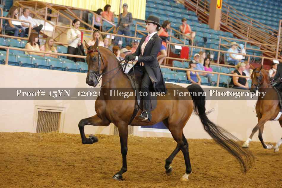 Proof 15YN_12021