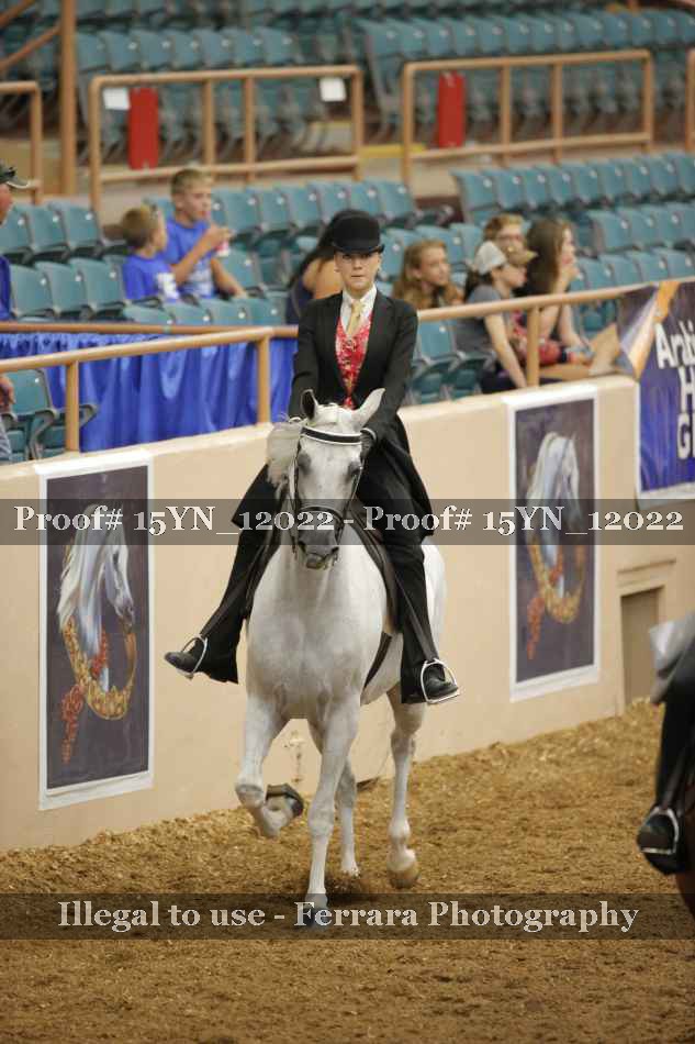 Proof 15YN_12022