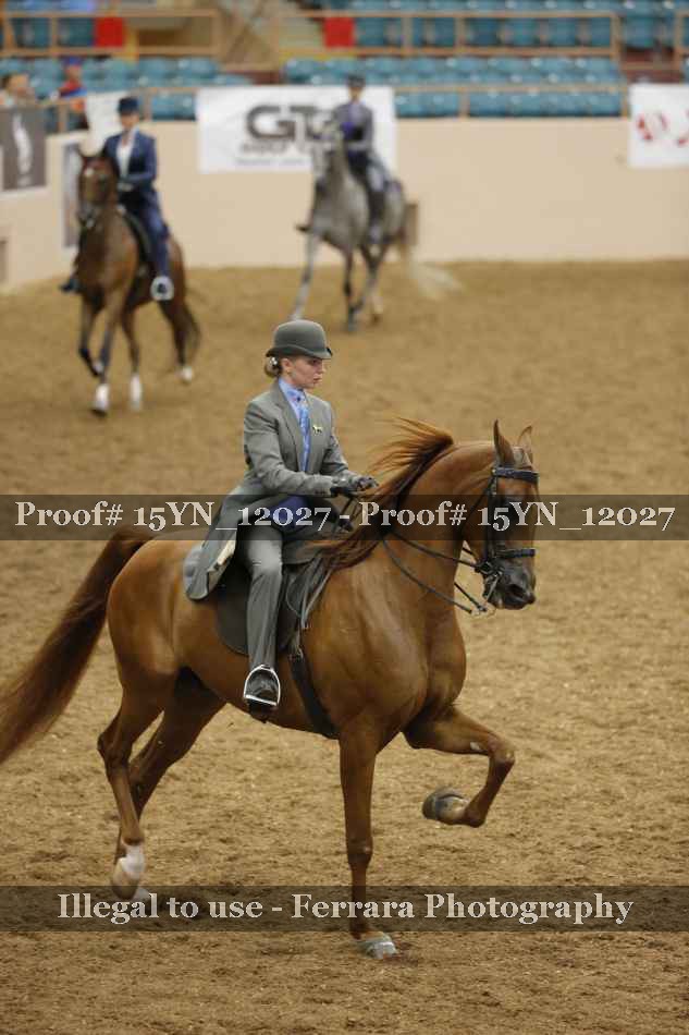 Proof 15YN_12027