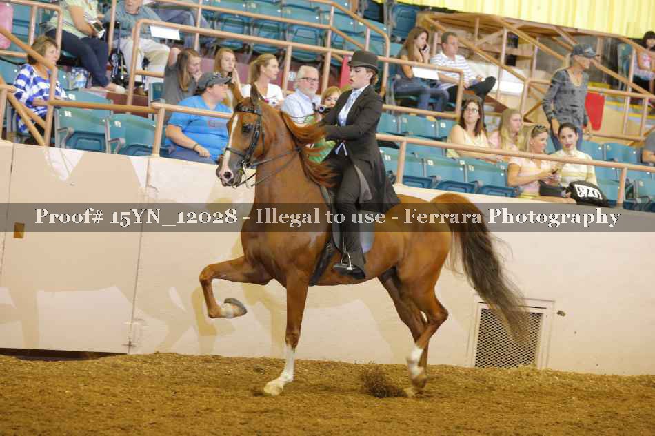 Proof 15YN_12028