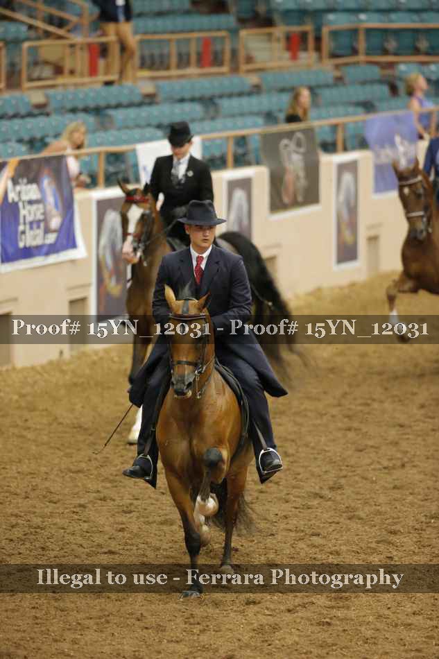 Proof 15YN_12031