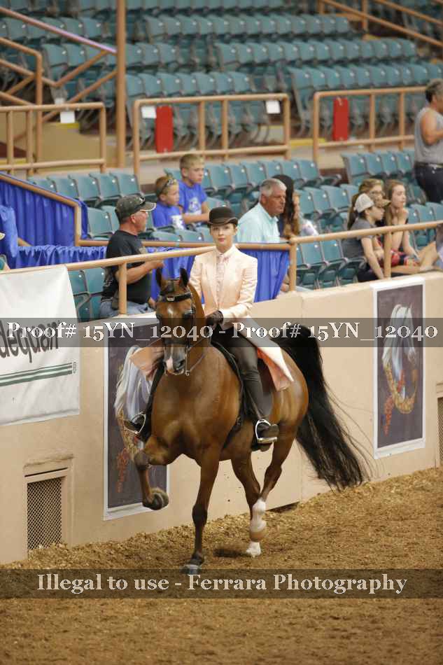Proof 15YN_12040
