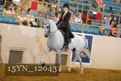 15YN_12043 proof