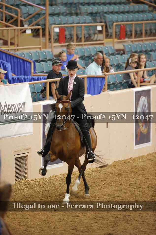 Proof 15YN_12047