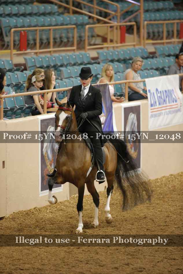 Proof 15YN_12048