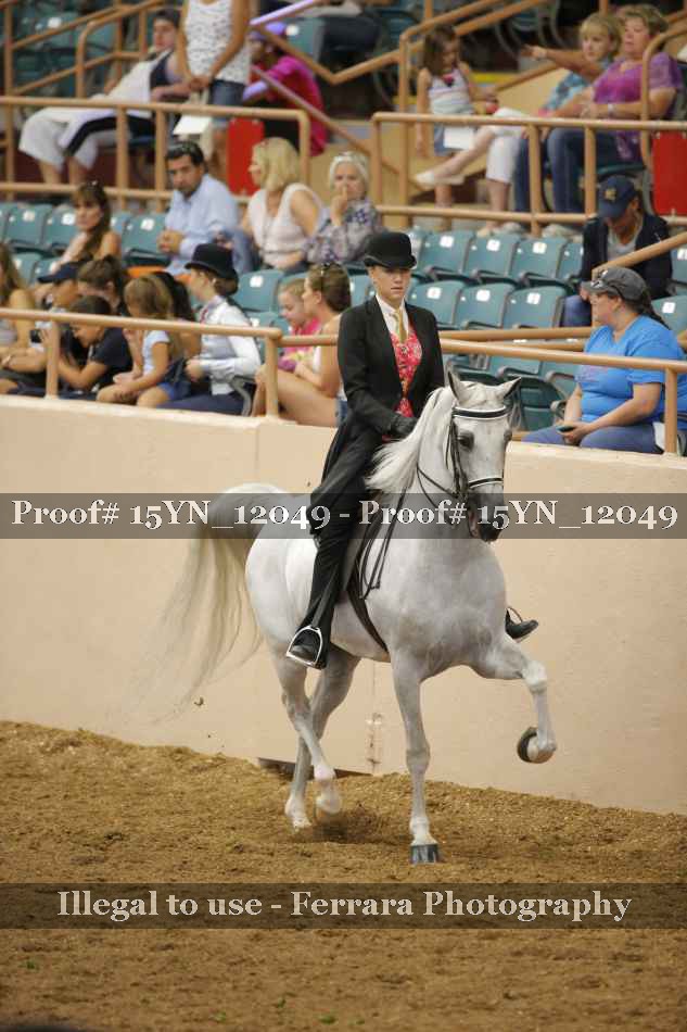 Proof 15YN_12049