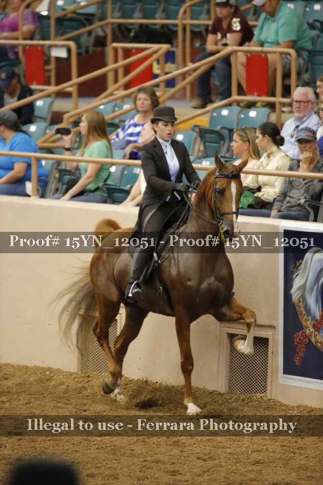 Proof 15YN_12051