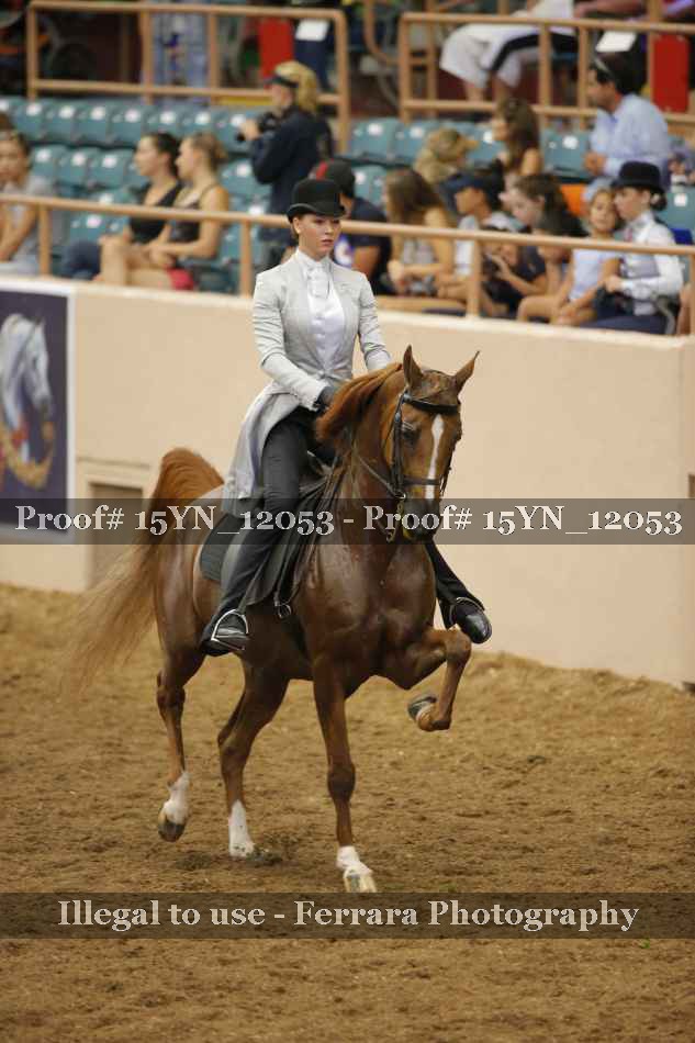 Proof 15YN_12053