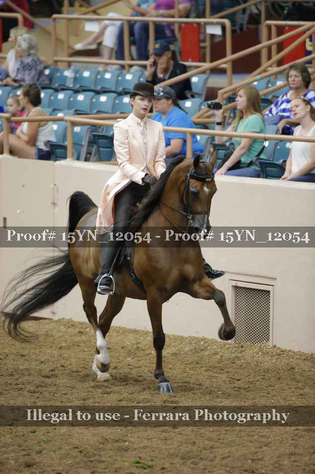 Proof 15YN_12054