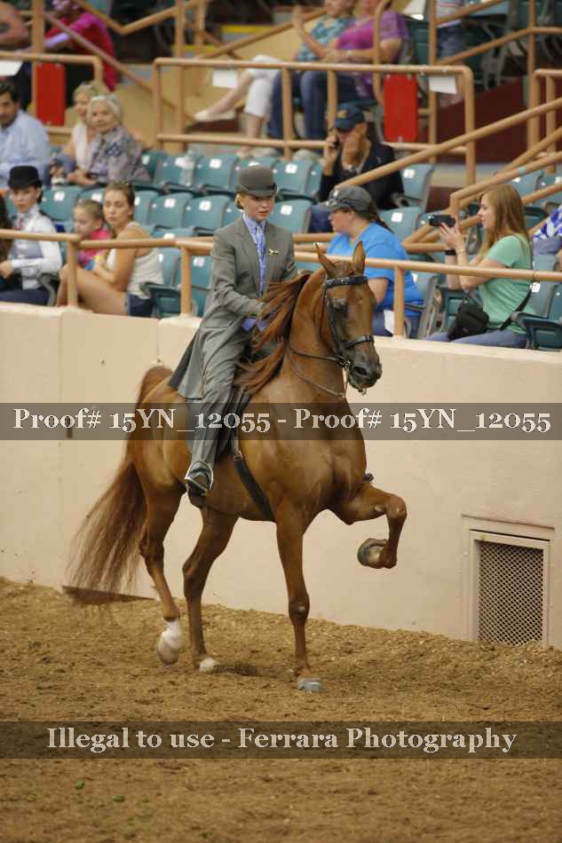 Proof 15YN_12055